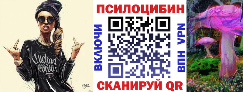 Псилоцибиновые грибы Cubensis  Камызяк 