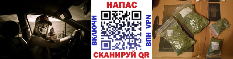 Канабис гибрид  Камызяк 
